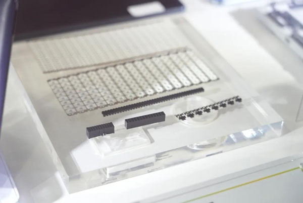 mg不朽情缘(中国游)官方网站